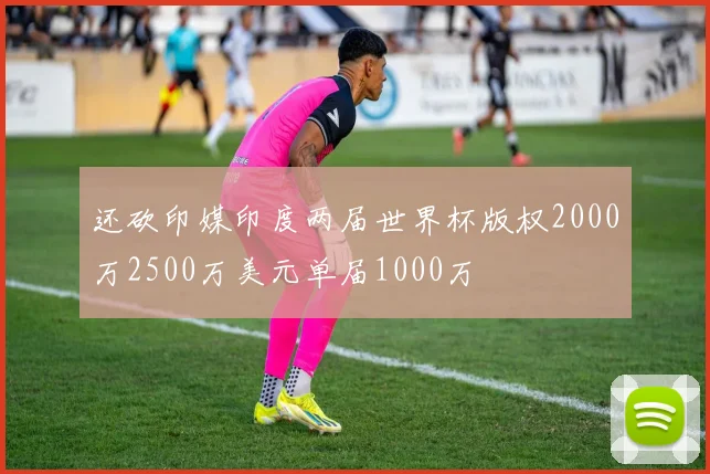 还砍印媒印度两届世界杯版权2000万2500万美元单届1000万