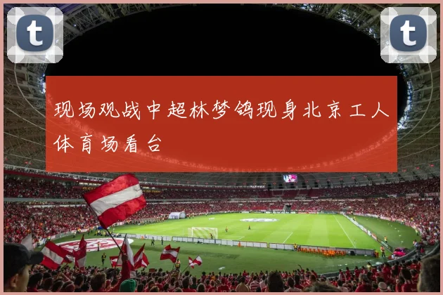 现场观战中超林梦鸽现身北京工人体育场看台