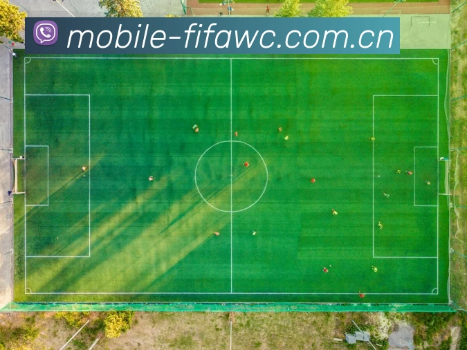 世界杯新版APP 用户界面